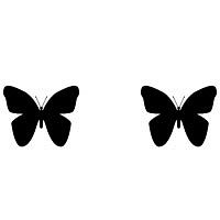 zwei Schmetterlinge