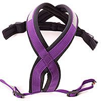 offen (Gurte nicht zusammen nähen)