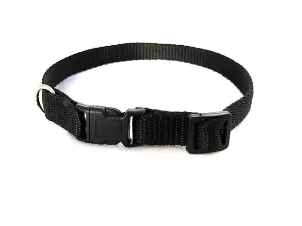 eRPaki BASIC Hundehalsband Klick 10mm