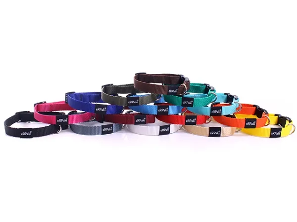 eRPaki BASIC Hundehalsband Klick 15mm