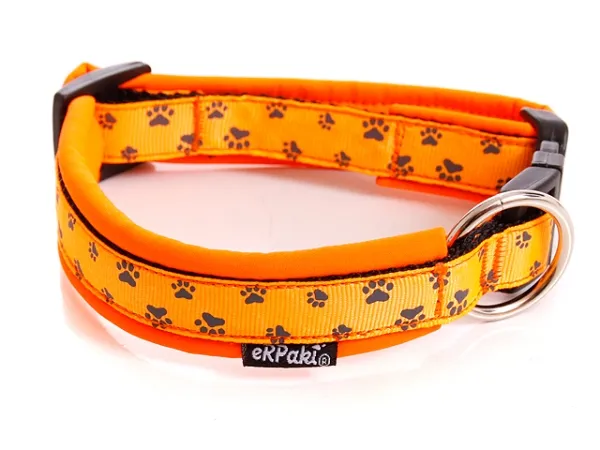 Hundehalsband mit Steckschnalle und Pflötchen Design orange