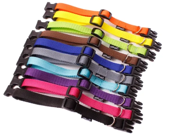 eRPaki BASIC Hundehalsband Klick 15mm