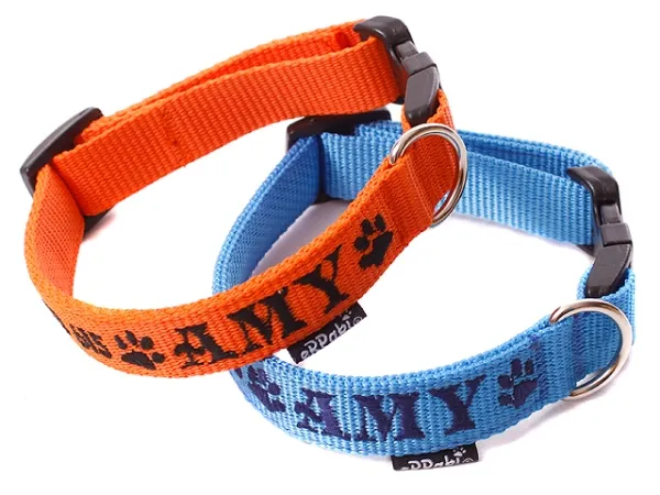 eRPaki BASIC Namenshalsband Klick 20mm
