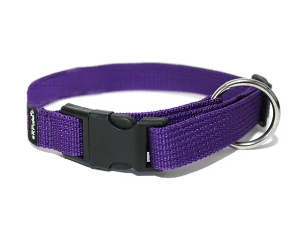 eRPaki BASIC Hundehalsband Langhaar 20mm lila