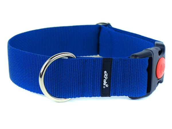 breites Hundehalsband mit Sicherheitsverschluss königsblau