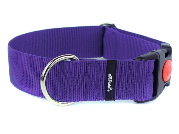 breites Hundehalsband mit Sicherheitsverschluss lila