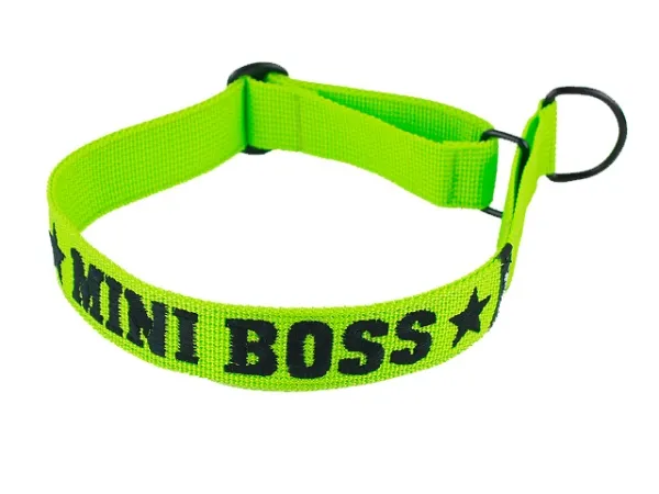 Hundehalsband mit Zugstopp lindgrün mit Wunschtext Mini Boss