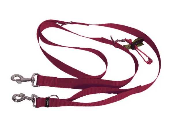 eRPaki Hundeleine 30mm verstellbar