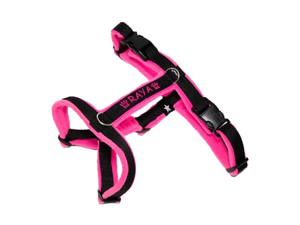 eRPaki Führgeschirr 20mm Double-Klick - bestickt