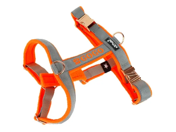 eRPaki Führgeschirr 30mm Double-Klick - bestickt