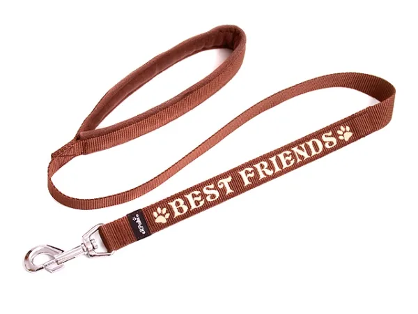 eRPaki Hundeleine mit Namensbestickung 25mm MP