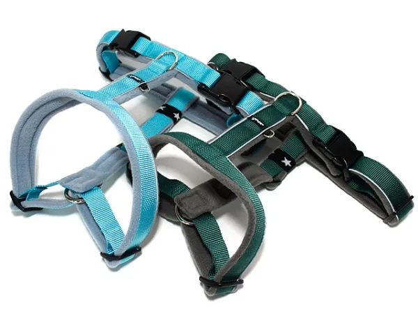 eRPaki Führgeschirr 25mm Double-Klick eRPaki Führgeschirr 25mm Double-Klick
