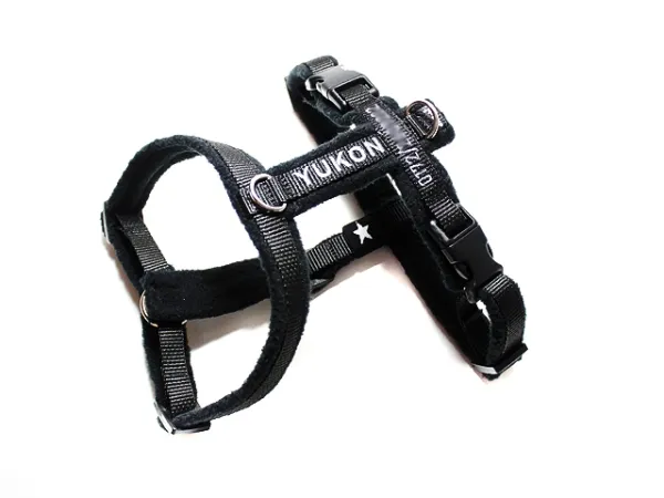 eRPaki Führgeschirr 15mm Double-Klick - bestickt eRPaki Führgeschirr 15mm Double-Klick - bestickt