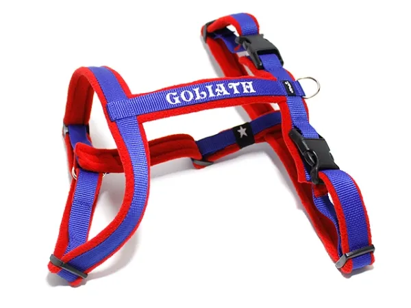 eRPaki Führgeschirr 20mm Double-Klick - bestickt