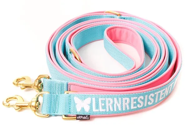 Hundeleine Softshell verstellbar personalisiert