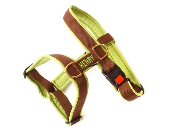 eRPaki PRO Führgeschirr 30mm - bestickt eRPaki PRO Führgeschirr 30mm - bestickt