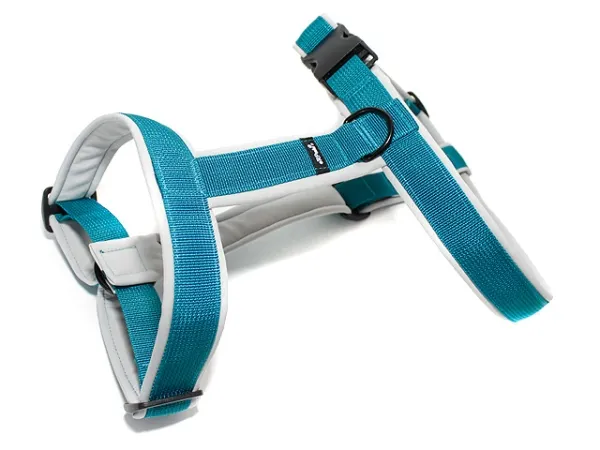 eRPaki PRO Führgeschirr 30mm eRPaki PRO Führgeschirr 30mm