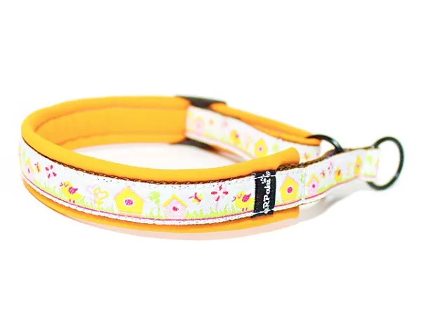 Hundehalsband Zugstopp Borte Webband Frühling