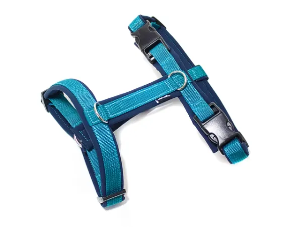 eRPaki PRO Führgeschirr 20mm Double-Klick eRPaki PRO Führgeschirr 20mm Double-Klick