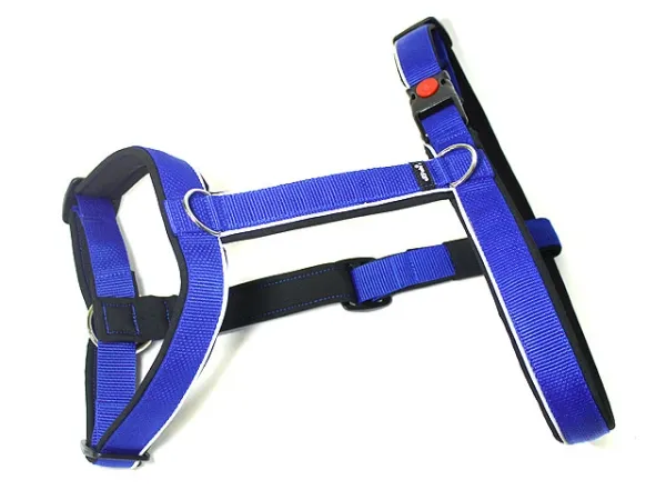 eRPaki PRO Führgeschirr 20mm