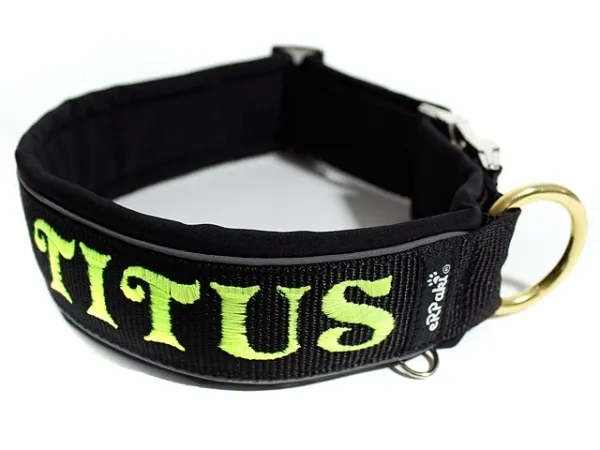 eRPaki PRO Namenshalsband Klick 40mm - Reflektor eRPaki PRO Namenshalsband Klick 40mm - Reflektor