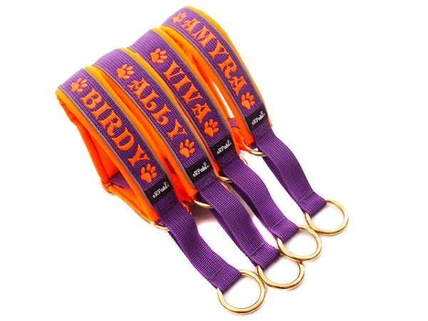 eRPaki PRO Namenshalsband Zugstop 30mm - Reflektor