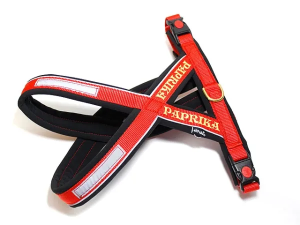 eRPaki PRO Tourengeschirr 20mm Double-Klick - Reflektor - bestickt