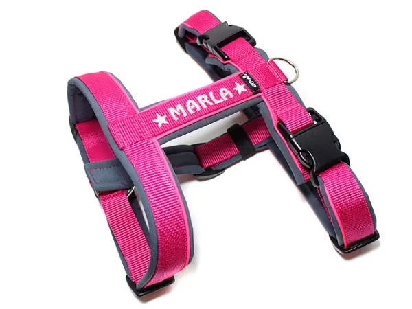 eRPaki PRO Führgeschirr 25mm Double-Klick - bestickt eRPaki PRO Führgeschirr 25mm Double-Klick - bestickt