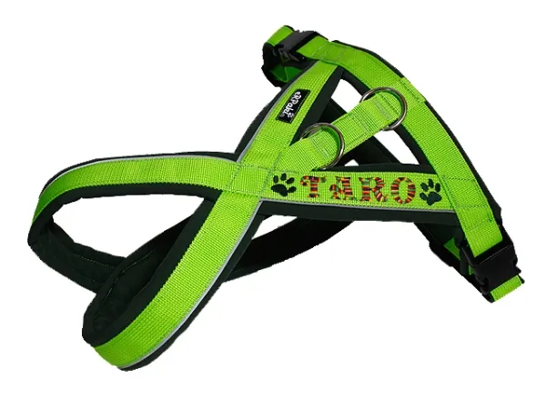 eRPaki PRO Tourengeschirr 30mm Double-Klick - Reflektor - bestickt
