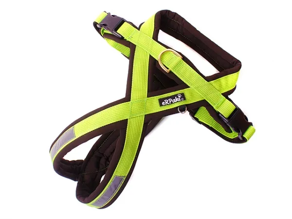 eRPaki PRO Flyball-Geschirr Double-Klick 25mm