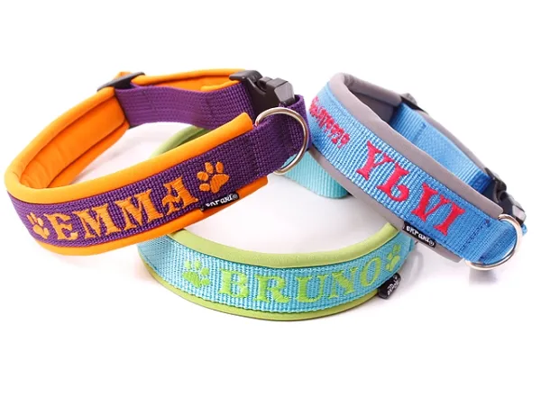 eRPaki PRO Namenshalsband Klick 25mm