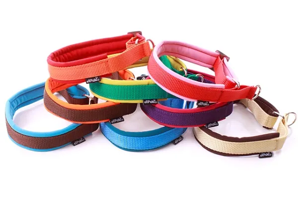 eRPaki PRO Hundehalsband Zugstop 20mm