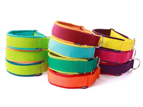 eRPaki PRO Hundehalsband Zugstop 40mm