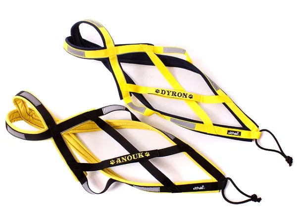eRPaki Zuggeschirr PRO MEDIUM 25 bestickt - Reflektor eRPaki Zuggeschirr PRO MEDIUM 25 bestickt - Reflektor