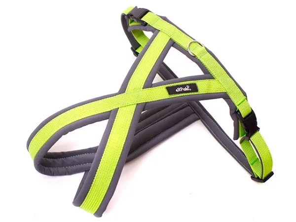 eRPaki PRO Tourengeschirr 20mm - Double-Klick eRPaki PRO Tourengeschirr 20mm - Double-Klick