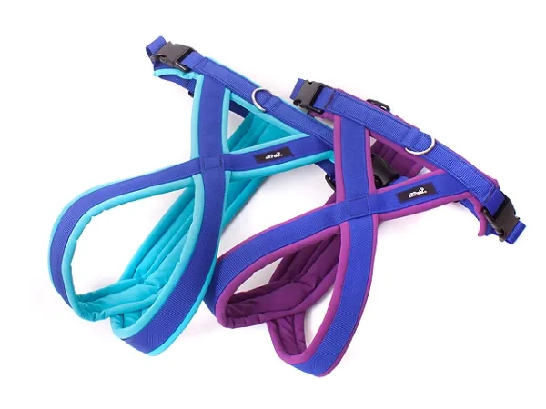 eRPaki PRO Tourengeschirr 30mm - Double-Klick eRPaki PRO Tourengeschirr 30mm - Double-Klick