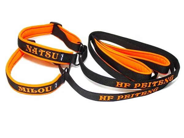 eRPaki PRO Agility-Leine mit Bestickung 25mm