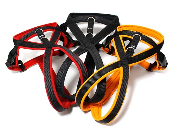 eRPaki PRO Flyball-Geschirr Double-Klick 20mm