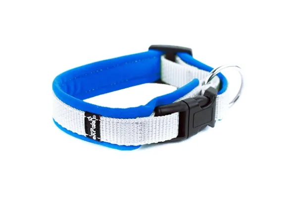Hundehalsband gepolstert Langhaar großer Ring weiß blau