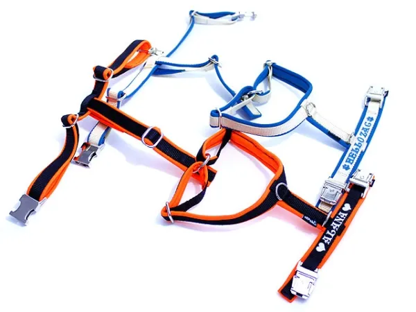 eRPaki PRO Führgeschirr 15mm Double-Klick - bestickt eRPaki PRO Führgeschirr 15mm Double-Klick - bestickt