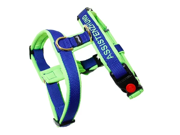 eRPaki PRO Führgeschirr 20mm Double-Klick - bestickt eRPaki PRO Führgeschirr 20mm Double-Klick - bestickt