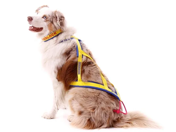 X-Back Zuggeschirr Hund X-Back Zuggeschirr Hund