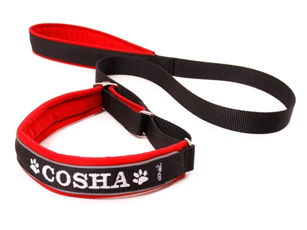 eRPaki PRO Agility-Leine mit Bestickung 25mm