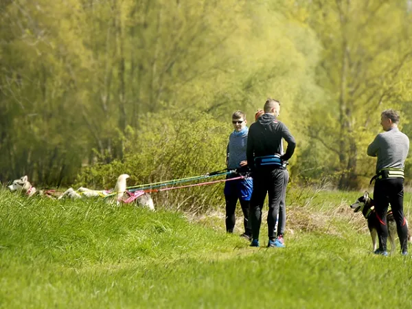 eRPaki PRO Jogginggurt Laufgurt CANICROSS