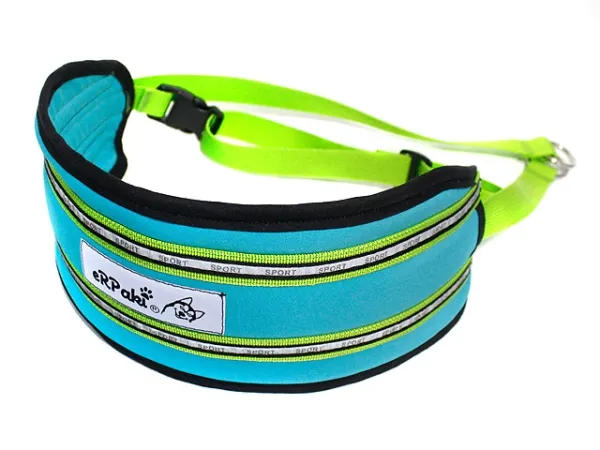 eRPaki PRO Jogginggurt Laufgurt CANICROSS