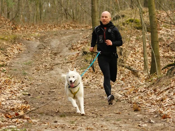 eRPaki PRO Jogginggurt Trekkinggurt mit Tasche RUN & HIKE eRPaki PRO Jogginggurt Trekkinggurt mit Tasche RUN & HIKE