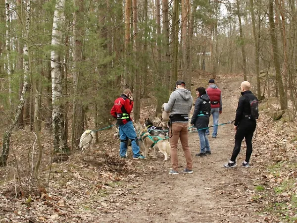 eRPaki PRO Jogginggurt Trekkinggurt mit Tasche RUN & HIKE eRPaki PRO Jogginggurt Trekkinggurt mit Tasche RUN & HIKE