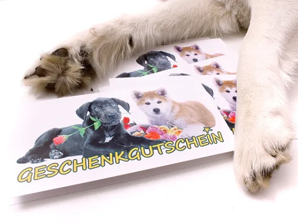 eRPaki Print-Geschenkgutschein 20 EUR