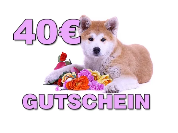 E-Mail-Geschenkgutschein 40 EUR