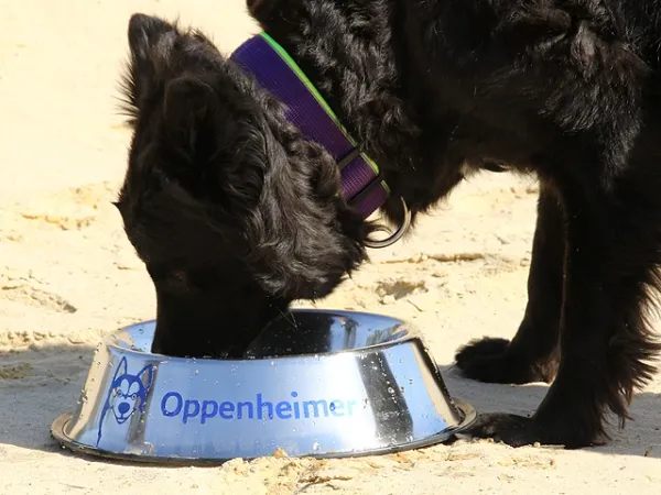 eRPaki® PRO Hundehalsband Langhaar 30mm - Reflektor